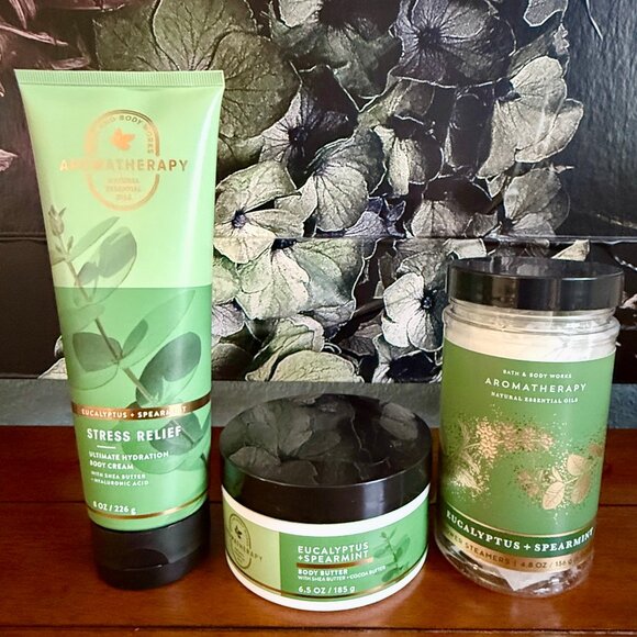 NEW 3-Pc Eucalyptus + Spearmint Body Cream, Body Butter, and Shower Steamers - Picture 1 of 3